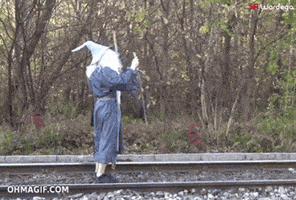 you shall not pass lord of the rings GIF