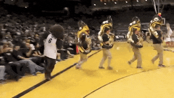 basketball band GIF by CUBoulder