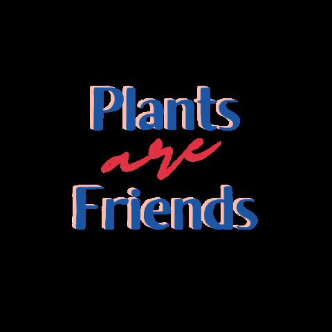 Every plant has a little personality