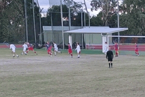 Ocsc GIF by Oldcamberwellsc