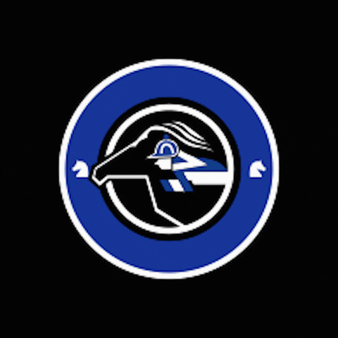 Rennstall Grewe GIF by Grewe