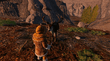 Animal GIF