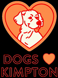 Dog-love GIFs - Get the best GIF on GIPHY