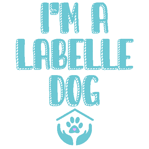 LabelleFoundation Sticker