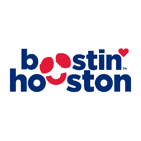 Houston Texans Football Sticker by Chevron Houston