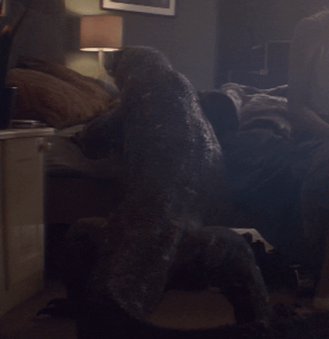 Bedtime GIF