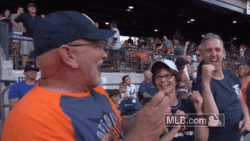 Major League Baseball Reaction GIF by Detroit Tigers
