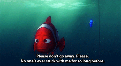 finding nemo stay GIF