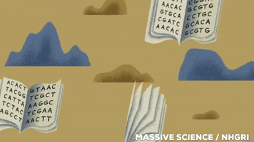 Book Of Life Books GIF by Massive Science