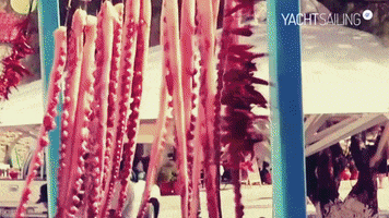 Yachtsailing.gr GIF