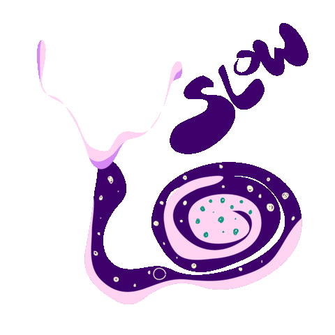Snail Caracol Sticker