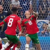 Portugal (Men's Soccer) GIFs