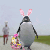 Easter Penguin GIF