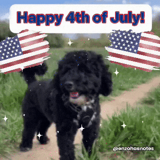 Celebrate American GIF