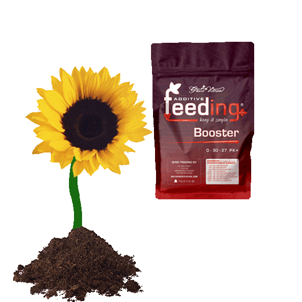 Green House Brands Sticker