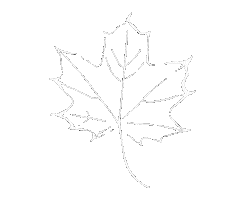 Greece Naxos Sticker by Platanos Cafe