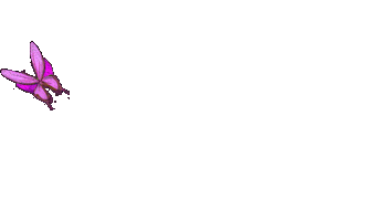 Butterfly Mariposa Sticker