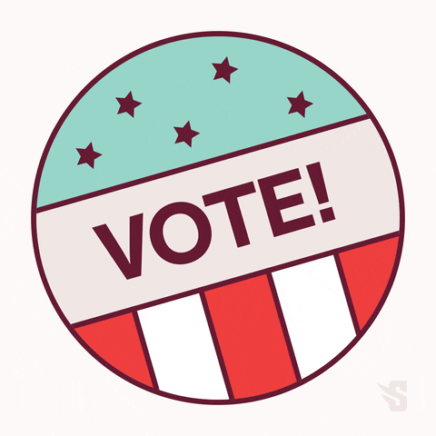 Vote Now United States Of America GIF by Susquehanna University