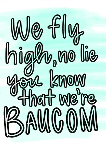 Fly GIF