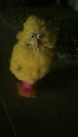 Sesame Street Halloween GIF by Storyful