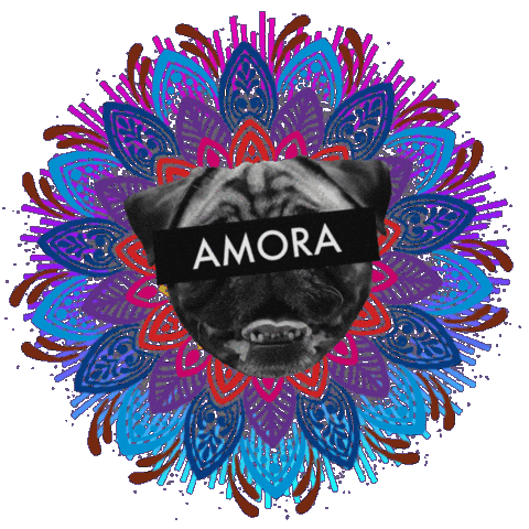 Zeedog Sticker by Amora Pug Brasil