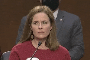 Senate Judiciary Committee Sip GIF by GIPHY News