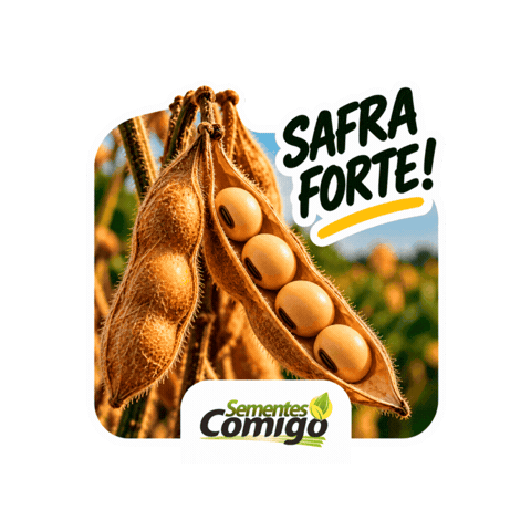 Sementes Safra Sticker by Cooperativa COMIGO