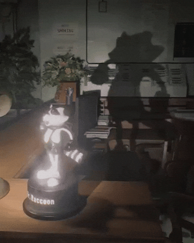 Re9 Raccooncity GIF by Respective