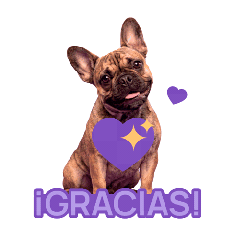 Dog Gracias Sticker by HICC Pet México
