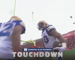 Celebration GIF