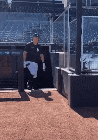 Aaron-nola GIFs - Get the best GIF on GIPHY