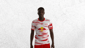 Whats Going On What GIF by RB Leipzig