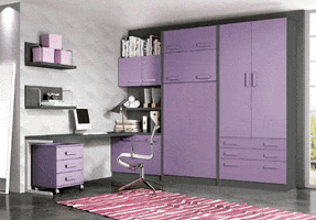 Literas Abatibles GIF