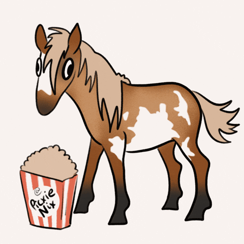 Film Popcorn GIF