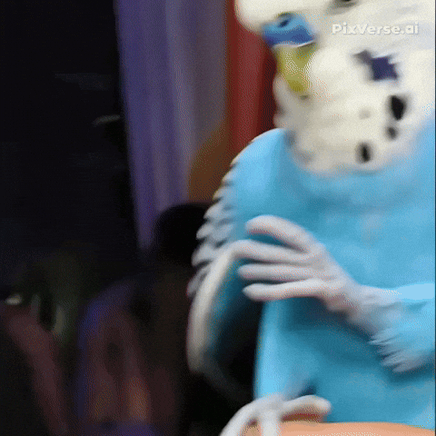 Blue Bird Pigeon GIF