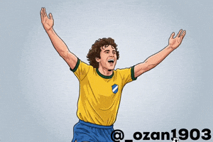 Zico GIF