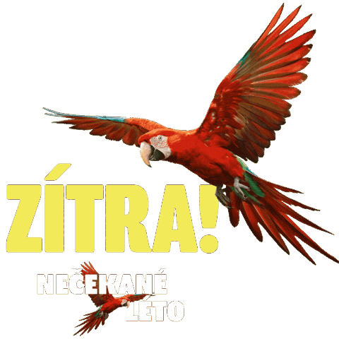 Barbora Poláková Nečekané Léto Sticker by falconfilmovenovinky