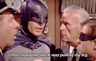 Adam West GIFs - Find & Share on GIPHY