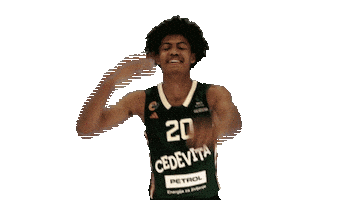 Joanberinger Sticker by kkcedevitaolimpija