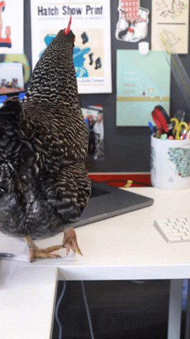 GIF by TrademarkCreativeStudios