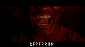 Horror Film Lol GIF by Signature Entertainment