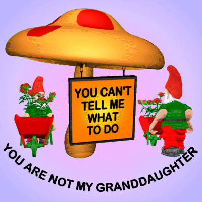 Gnomes Dont Tell Me What To Do GIF