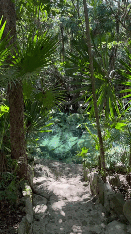 Riviera Maya Cenote GIF by CGTraveler - Carlos Garrido - Adventrgram