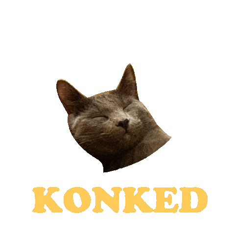 Cat Sticker