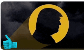 Trump Signal GIF