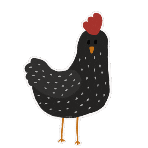 Chicken Sticker by ayoungdesign