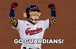 Major League Baseball Celebration GIF by Boring Merch