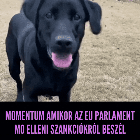 Magyar GIF