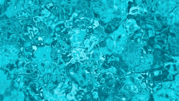 GIF by romy north