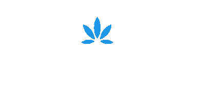 Tree Factory Sticker